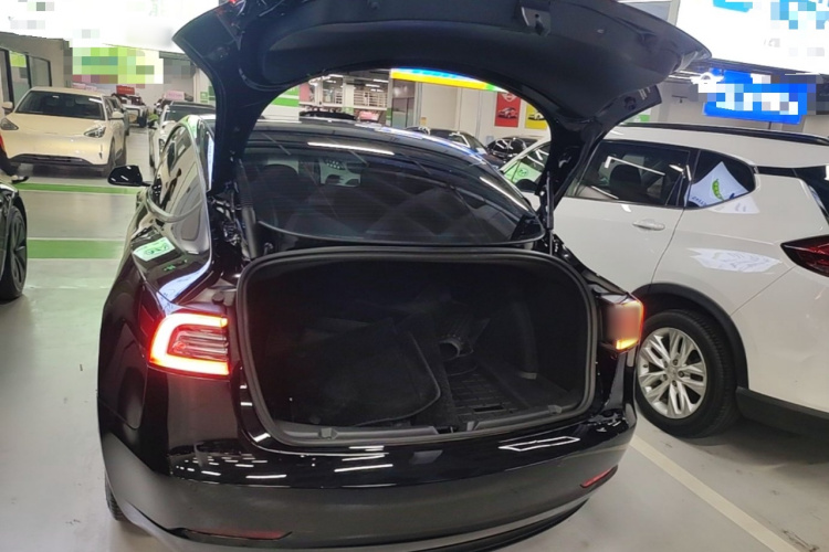 Tesla Model 3 2021 #19 Tesla Model 3 2021 immagine di auto #19