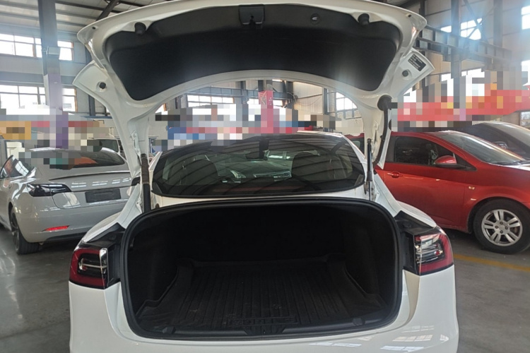 Tesla Model 3 2021 #21 Tesla Model 3 2021 car image #21