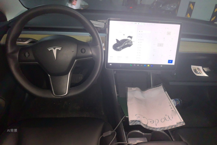 Tesla Model 3 2020 car image #11