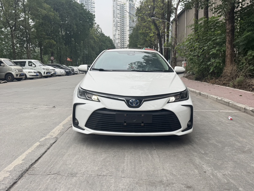 Toyota Corolla 2023 car image 