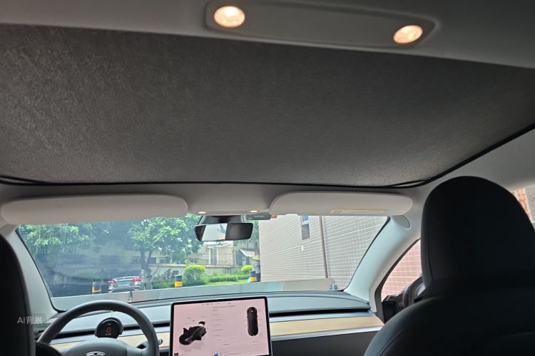 Tesla Model 3 2022 immagine di auto #20