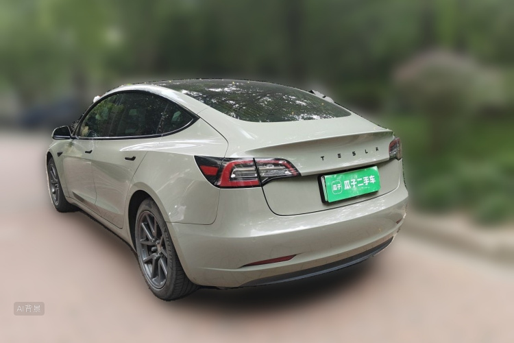 Tesla Model 3 2020 car image #5