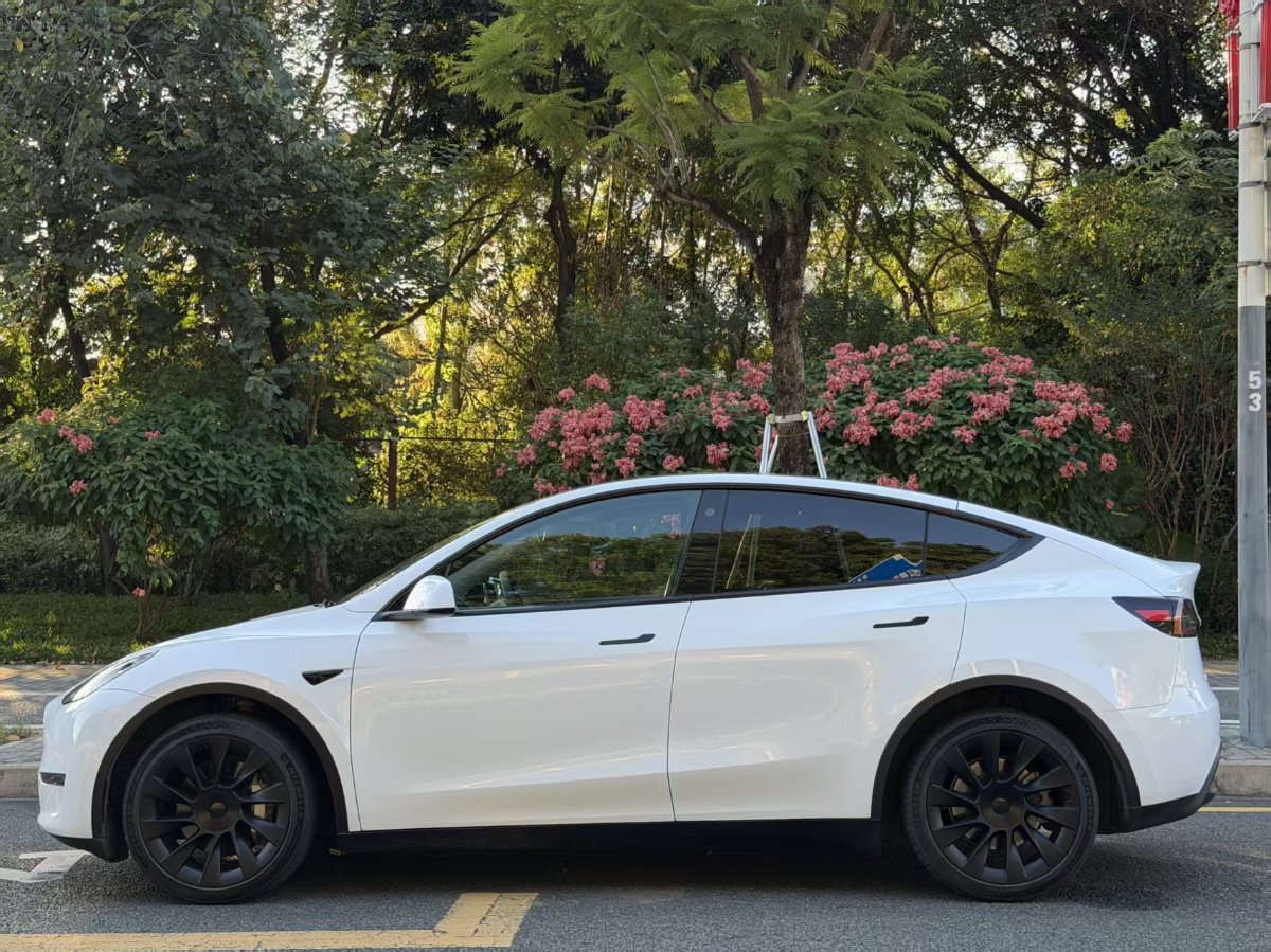Tesla Model Y 2023 #7 Tesla Model Y 2023 imagem de carro #7