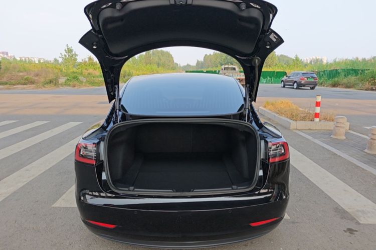 Tesla Model 3 2020 #21 Tesla Model 3 2020 car image #21