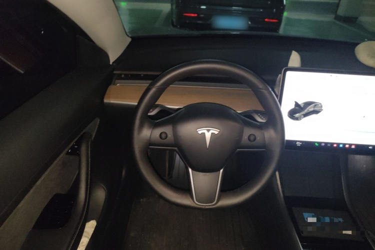 Tesla Model 3 2020 #11 Tesla Model 3 2020 car image #11