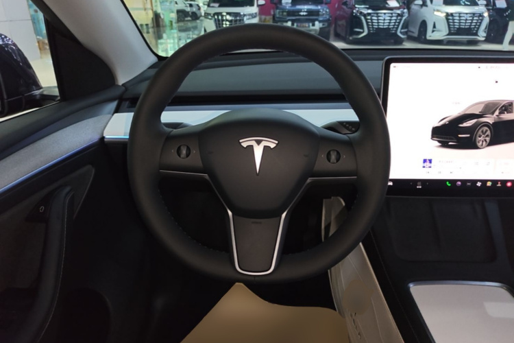 Tesla Model Y 2025 car image #15