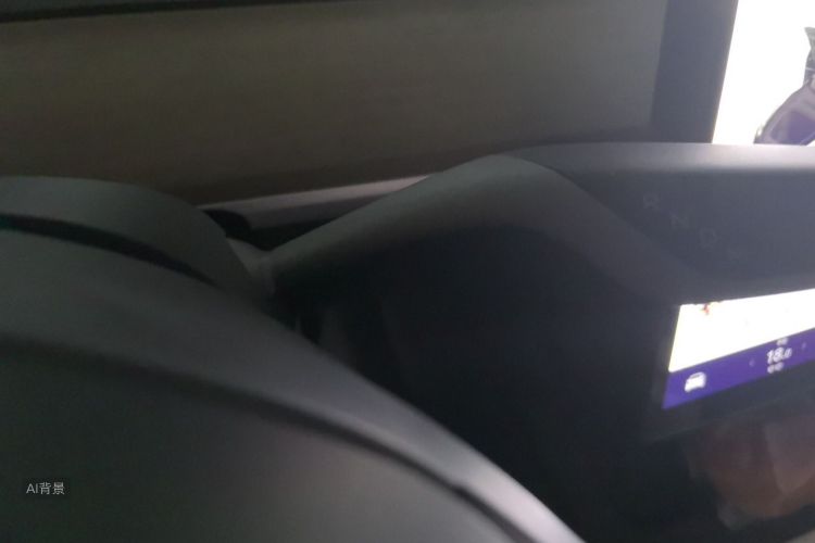 Tesla Model Y 2022 car image #16