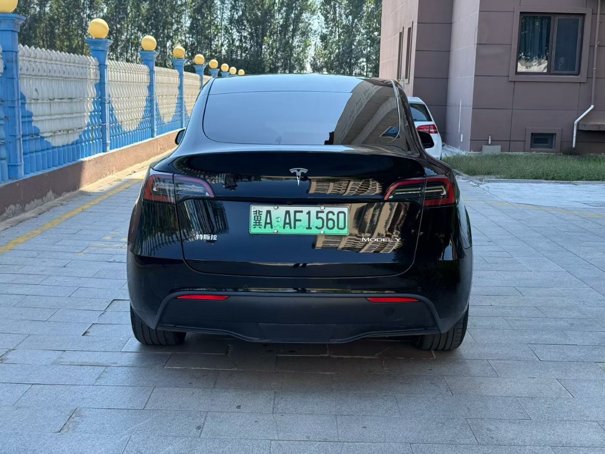 Tesla Model Y 2022 car image #6