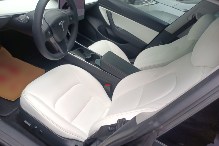 Tesla Model 3 2020 car image #19