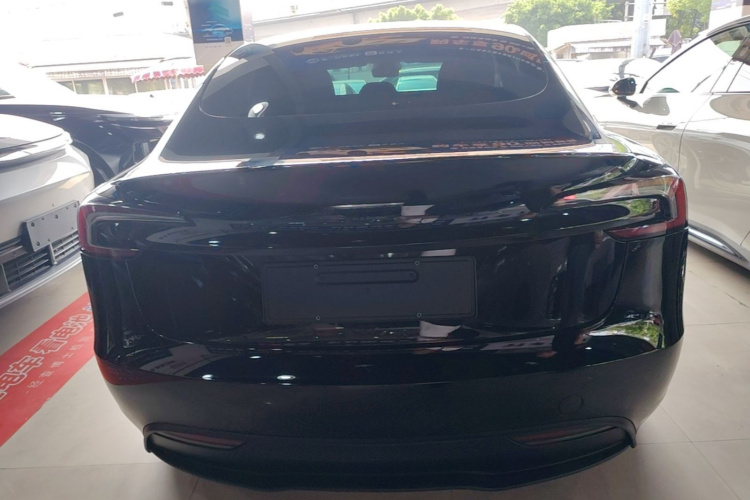 Tesla Model 3 2023 car image #6