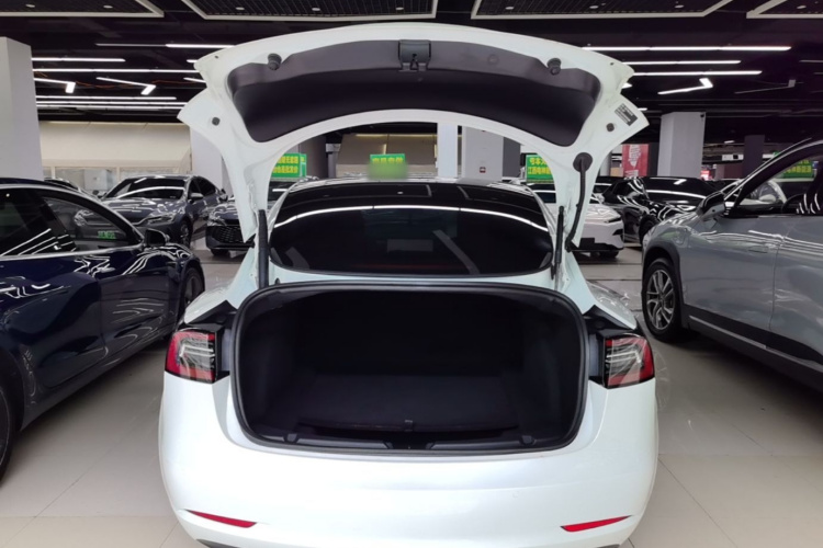 Tesla Model 3 2023 car image #19