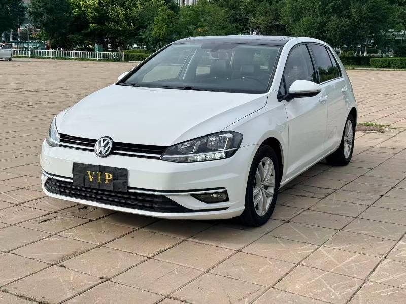 Volkswagen Golf 2019 #3 Volkswagen Golf 2019 car image #3
