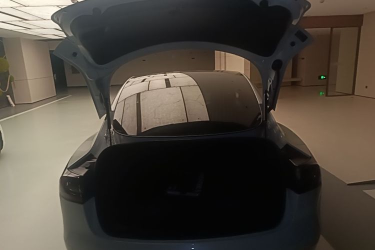 Tesla Model 3 2020 car image #19