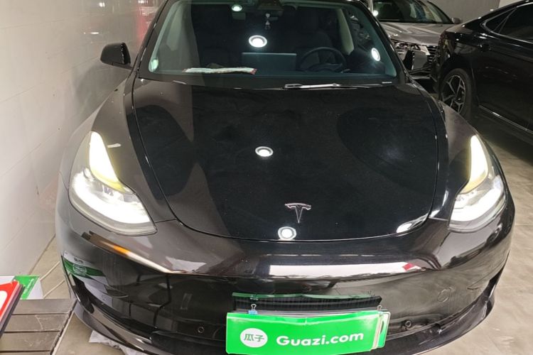 Tesla Model 3 2021 immagine di auto #3