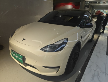 Tesla Model Y 2024 car image 