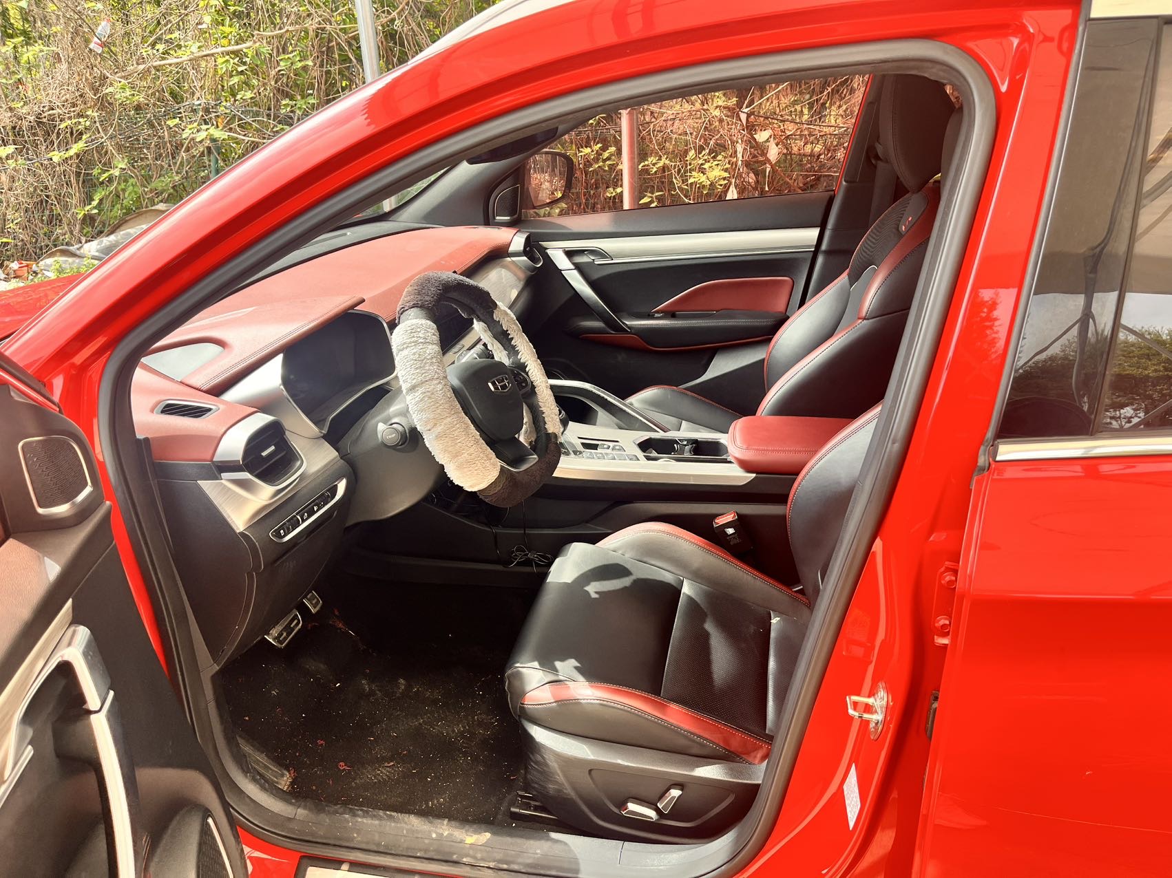 GEELY Coolray 2019 imagen de coche #4