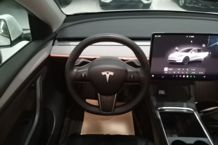 Tesla Model Y 2024 car image #12