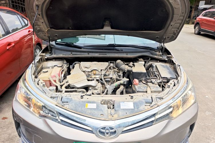 Toyota Corolla 2019 #20 Toyota Corolla 2019 car image #20