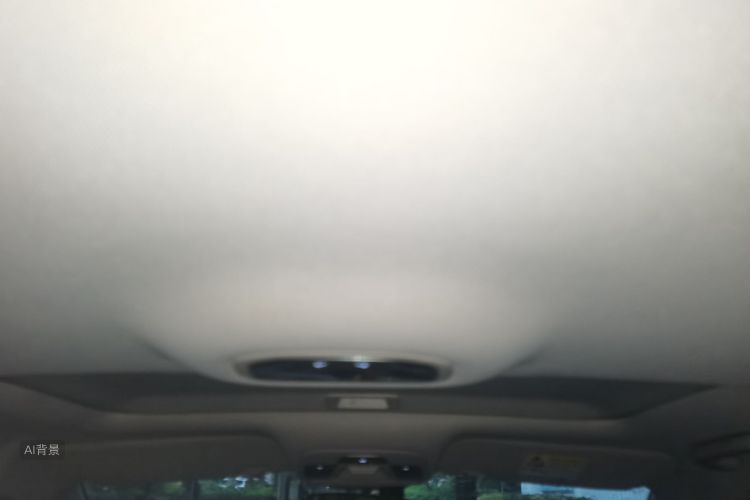 GEELY Emgrand 2020 immagine di auto #20