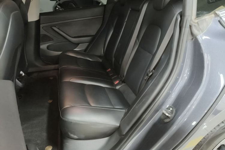 Tesla Model 3 2020 car image #17
