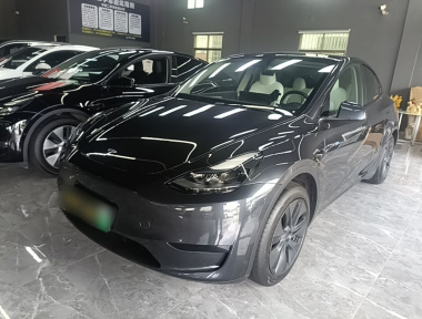 Tesla Model Y 2024 Tesla Model Y 2024 car image