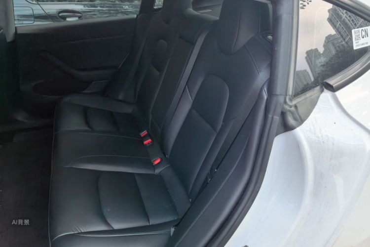 Tesla Model 3 2021 car image #19