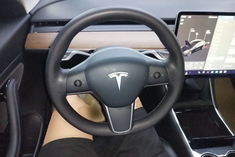 Tesla Model 3 2020 immagine di auto #11