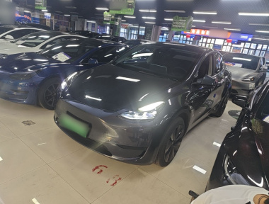 Tesla Model Y 2024 Tesla Model Y 2024 car image