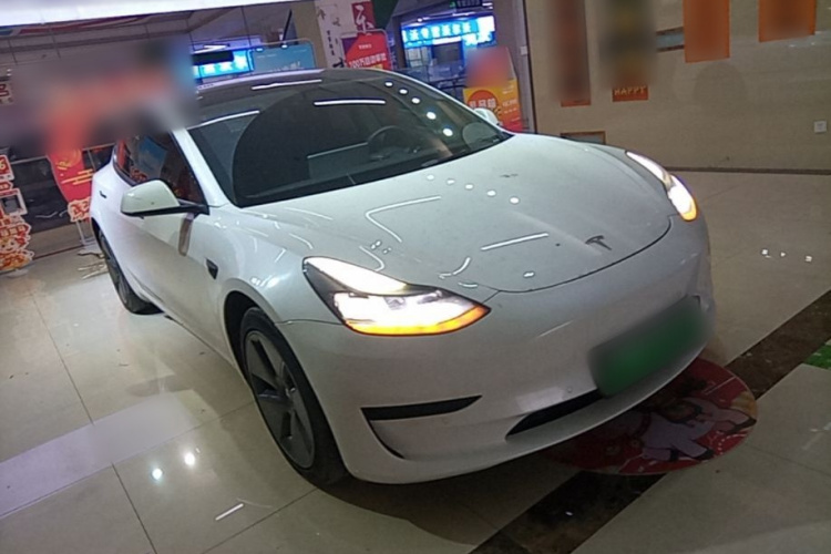 Tesla Model 3 2021 car image #4