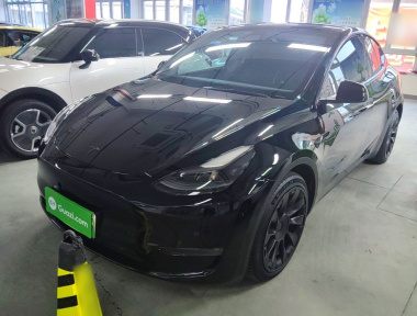 Tesla Model Y 2021 Tesla Model Y 2021 car image