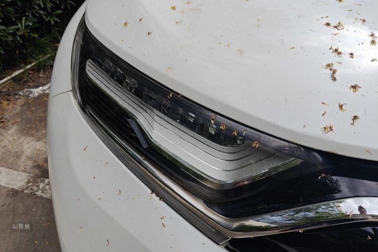Honda CR-V 2020 car image #8