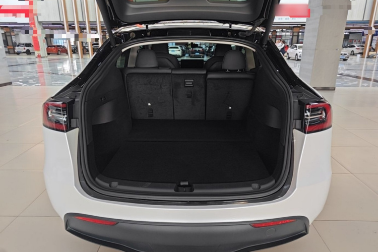 Tesla Model Y 2023 #19 Tesla Model Y 2023 car image #19