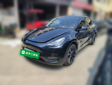 Tesla Model Y 2021 Tesla Model Y 2021 car image