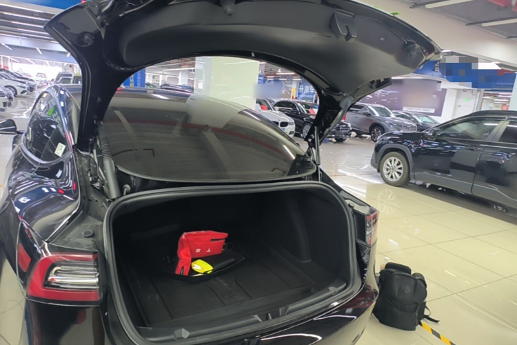 Tesla Model 3 2022 #19 Tesla Model 3 2022 car image #19