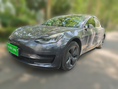 Tesla Model 3 2020 car image 