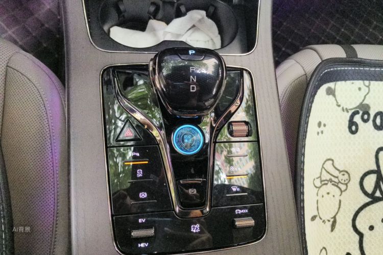 BYD Han 2024 immagine di auto #16