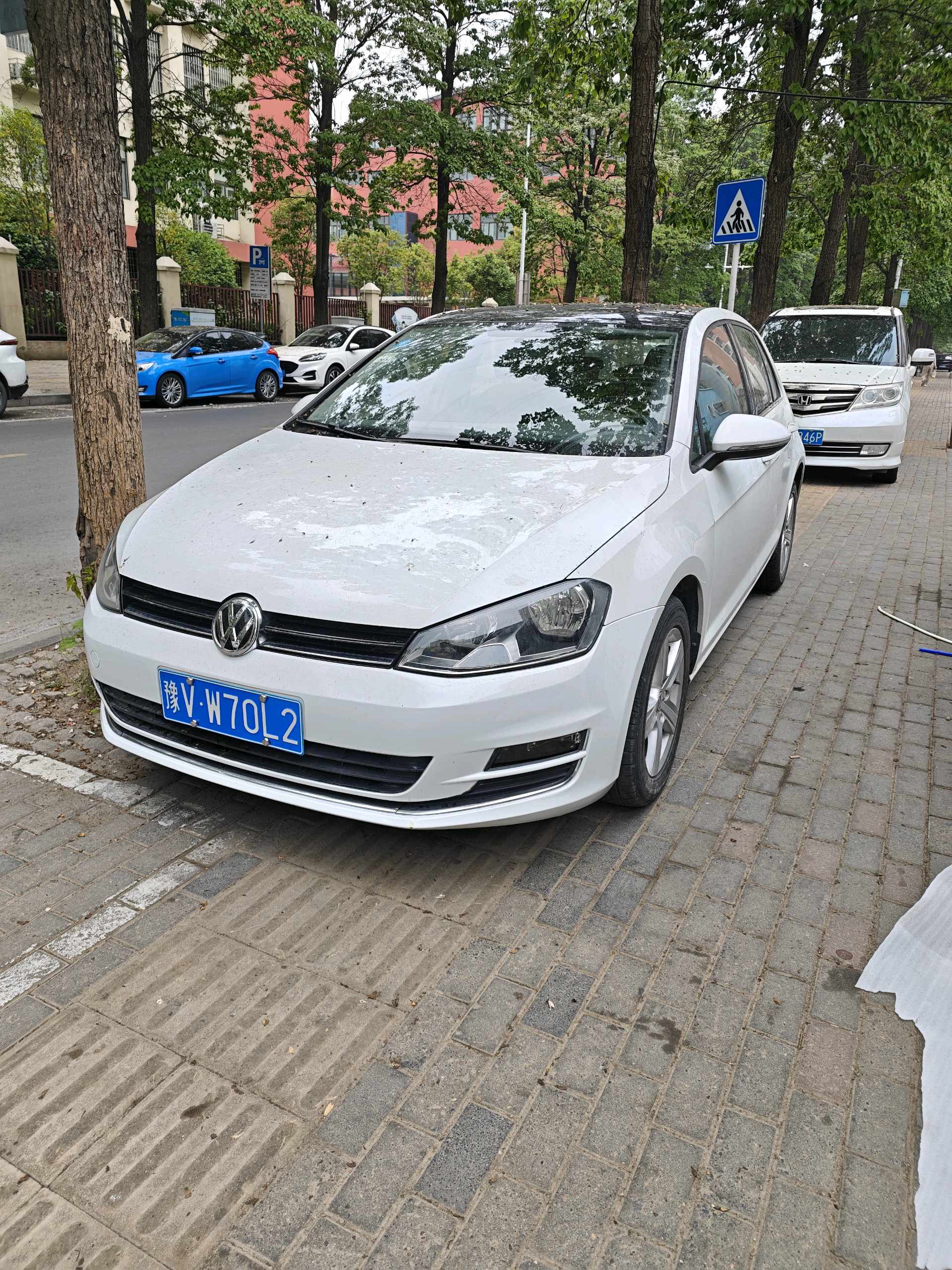 Volkswagen Golf 2014 汽车图片 