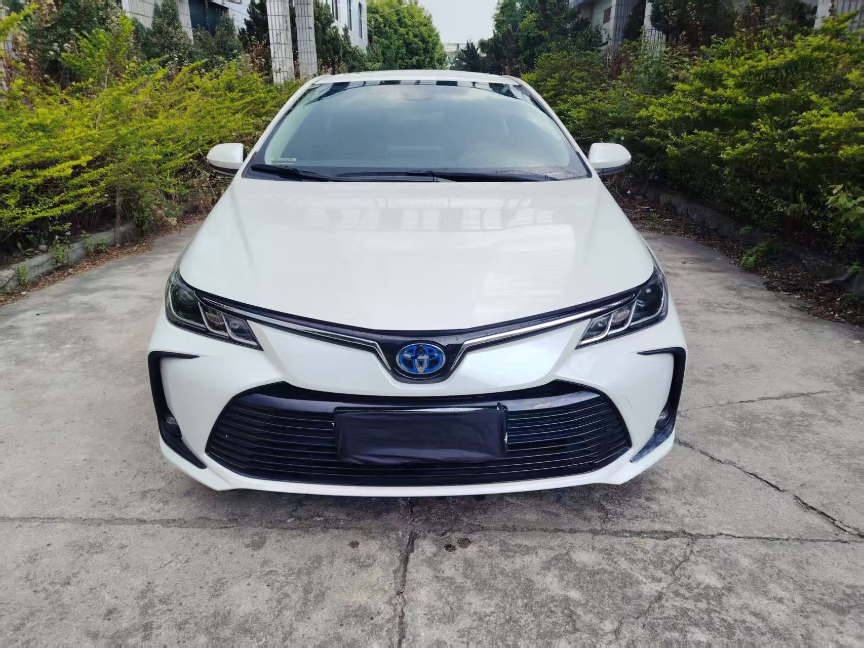 丰田 卡罗拉 2021 汽车图片 #2