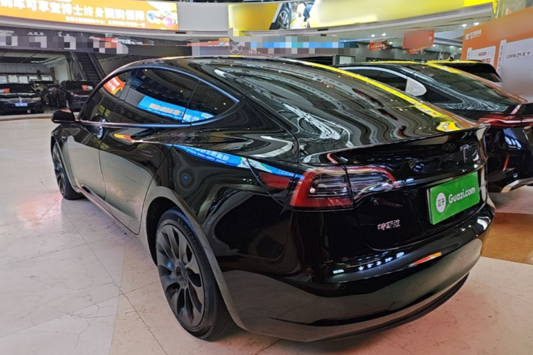 Tesla Model 3 2023 #5 Tesla Model 3 2023 car image #5