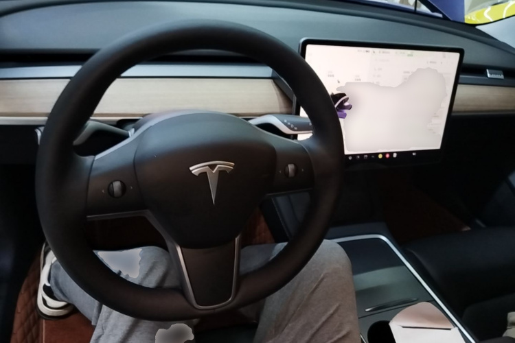 Tesla Model 3 2022 imagem de carro #10