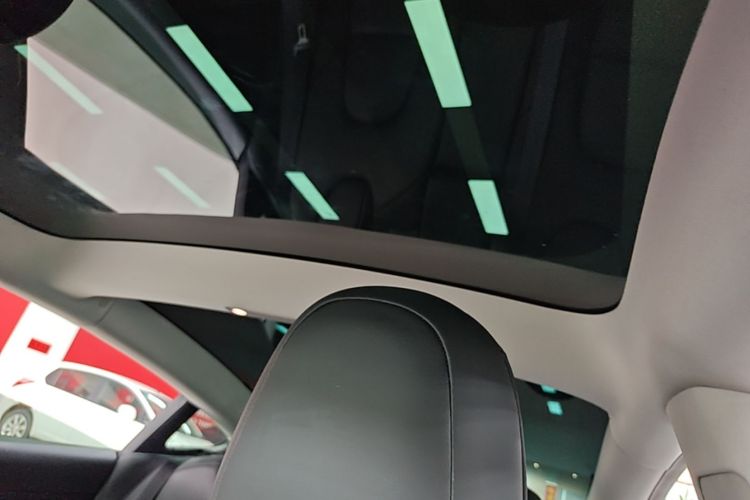 Tesla Model 3 2022 car image #18