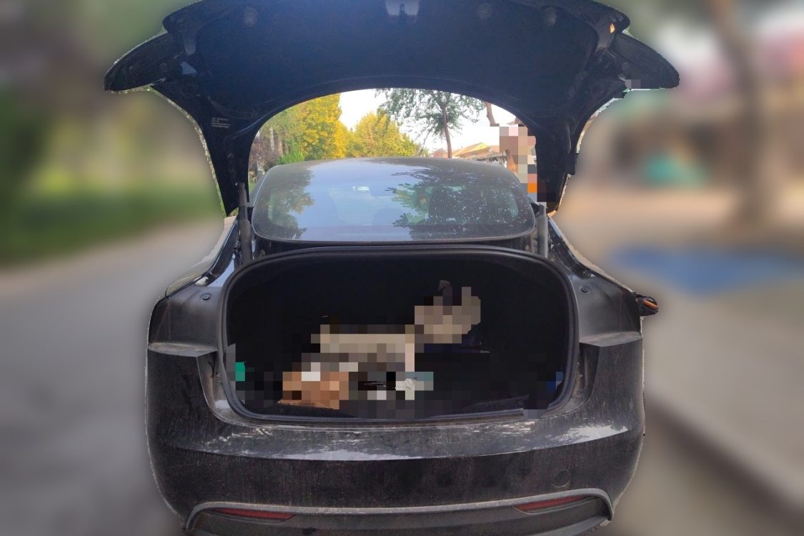 Tesla Model 3 2023 car image #8