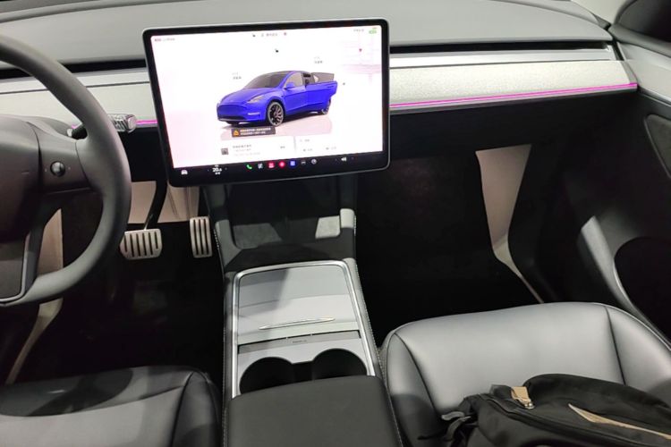 Tesla Model Y 2024 car image #13