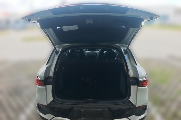 BYD Yuan Plus 2023 car image #21