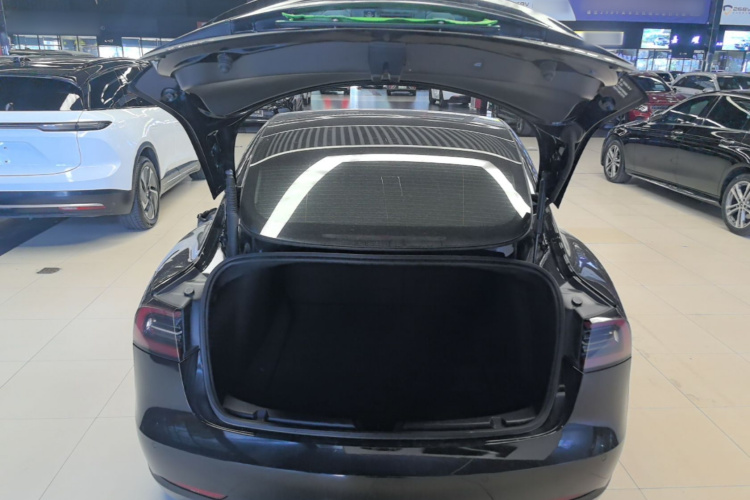 Tesla Model 3 2021 car image #19