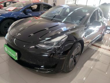 Tesla Model 3 2021 Tesla Model 3 2021 car image