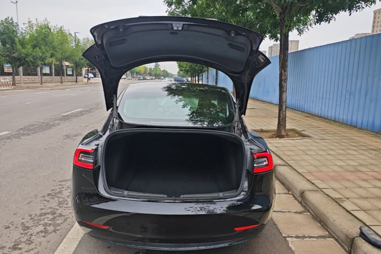 Tesla Model 3 2020 #19 Tesla Model 3 2020 car image #19