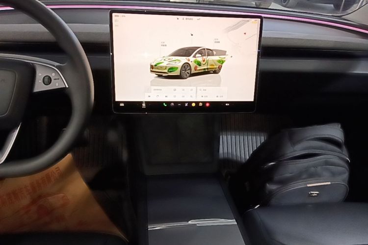 Tesla Model 3 2024 car image #17