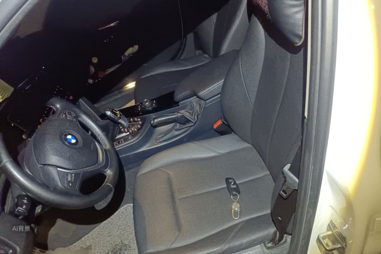 BMW 3 Series 2017 car image #17
