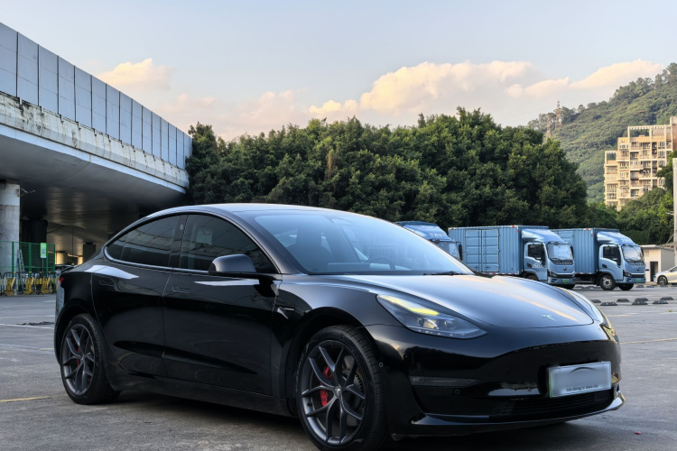 Tesla Model 3 2021 #4 Tesla Model 3 2021 immagine di auto #4